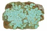 Polished Turquoise Slab - Number Mine, Carlin, NV #244460-1